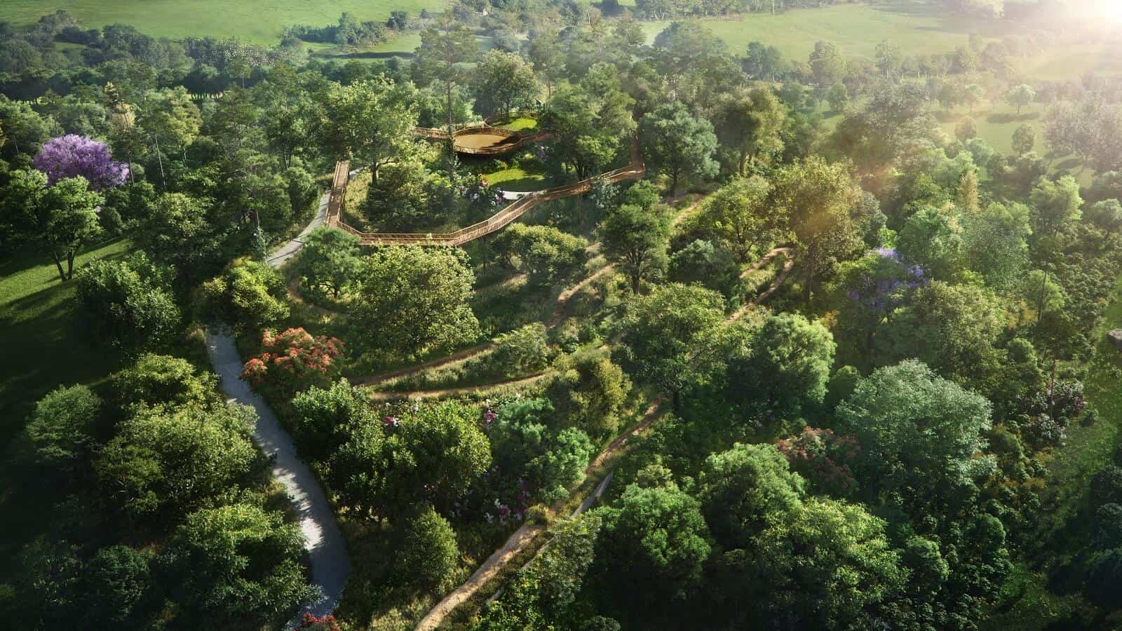 Canopy-Walkways-v2