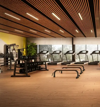 Gym desktop Avinya