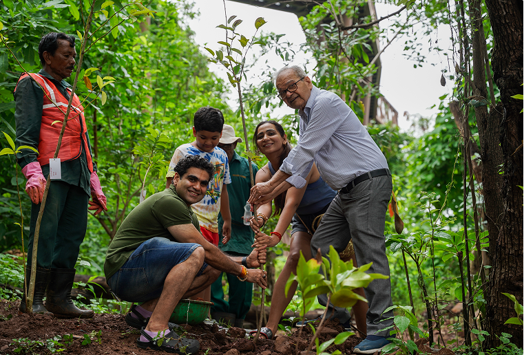 Tree Plantation, Powai 1