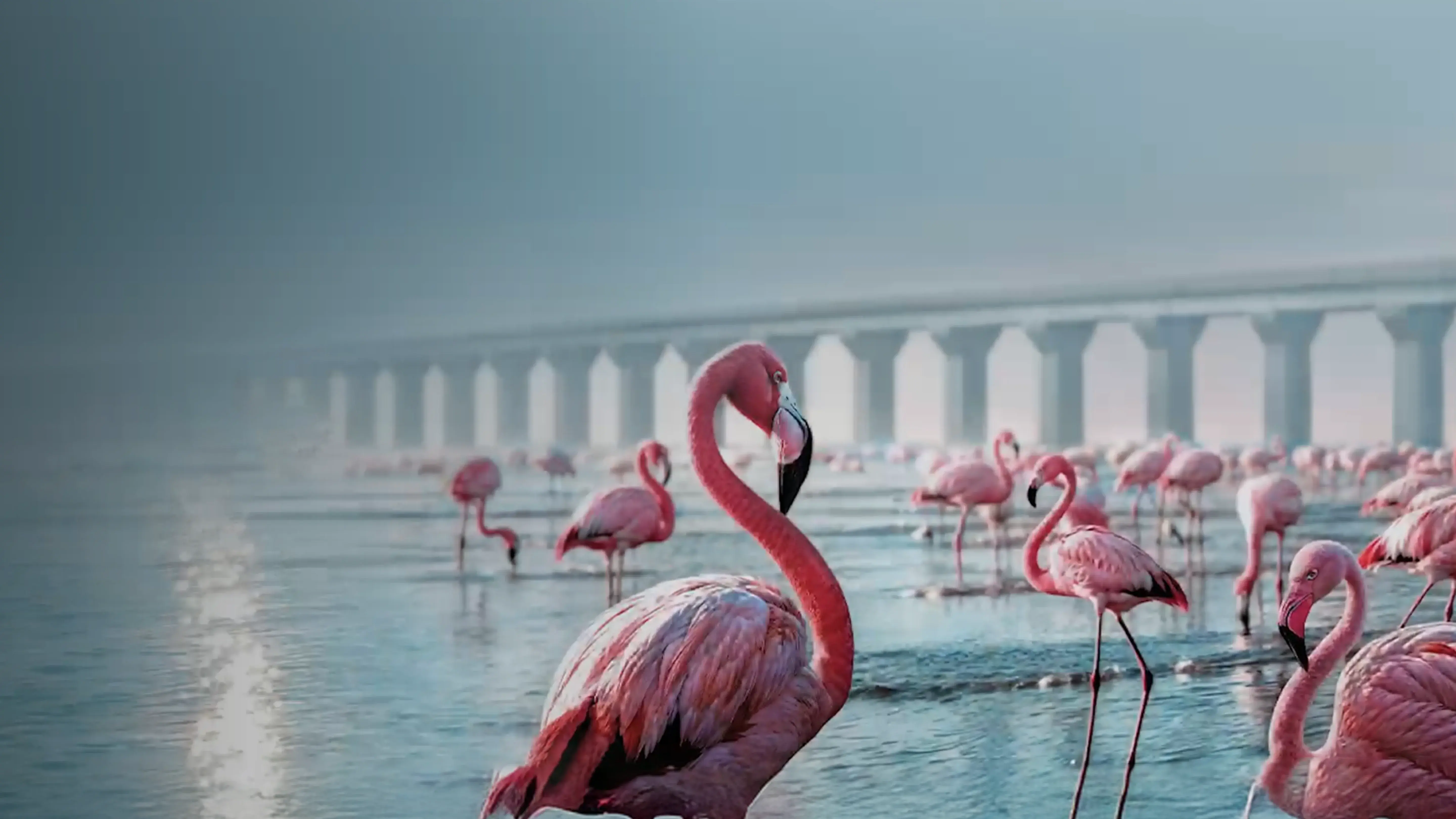 Screenshot 2025-12-11 at 9.03.41 PM mobile version 1-1