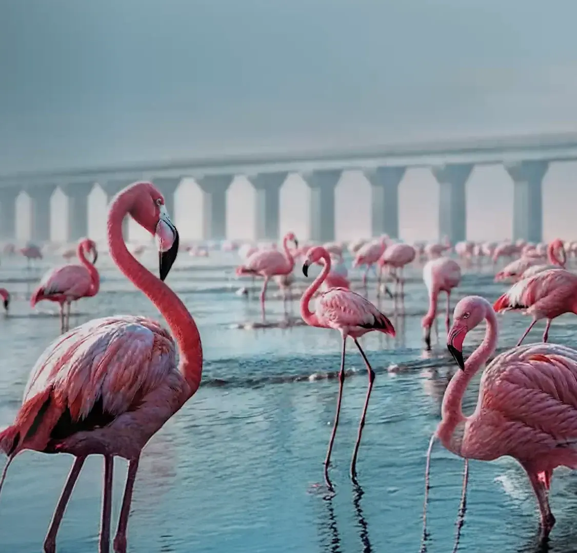 Screenshot 2025-12-11 at 9.03.41 PM mobile version 1