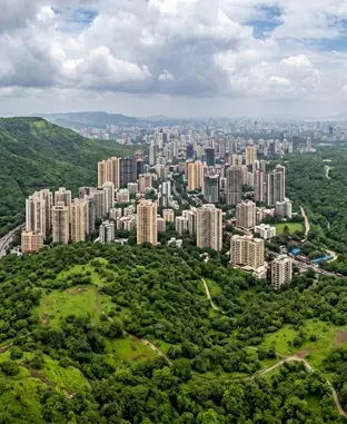 Panoramic