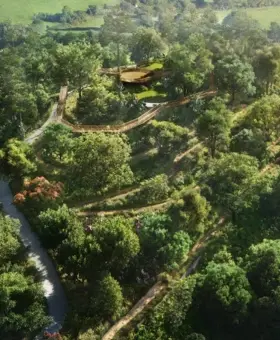 Canopy Walkways for Blissful Strolls