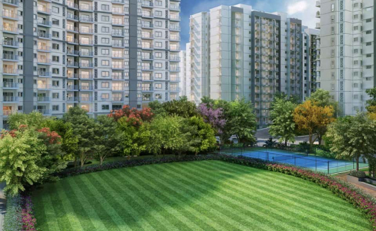 raintree-boulevard